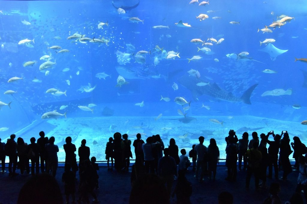 Aquariumsbesuchende. Menschen vor riesigem Aquarium. Bild von yuka71 auf Pixabay